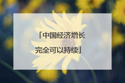 中国经济增长完全可以持续