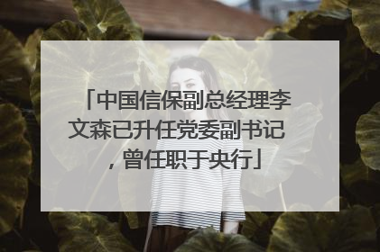 中国信保副总经理李文森已升任党委副书记，曾任职于央行