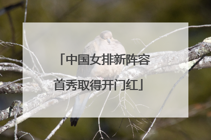 中国女排新阵容首秀取得开门红