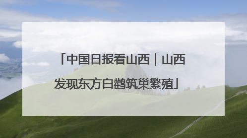 中国日报看山西｜山西发现东方白鹳筑巢繁殖