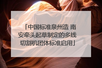 中国标准泉州造 南安牵头起草制定的多线切割机团体标准启用