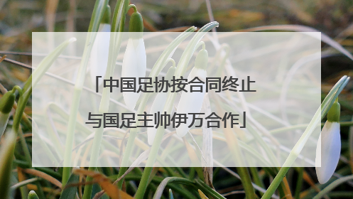 中国足协按合同终止与国足主帅伊万合作