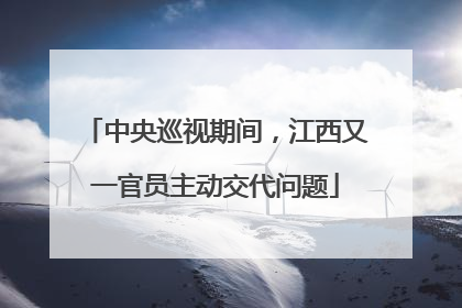 中央巡视期间，江西又一官员主动交代问题