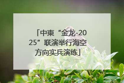 中柬“金龙-2025”联演举行海空方向实兵演练