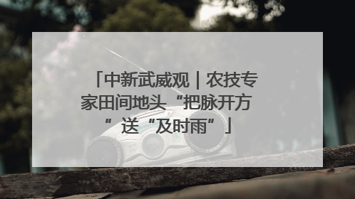中新武威观｜农技专家田间地头“把脉开方”送“及时雨”