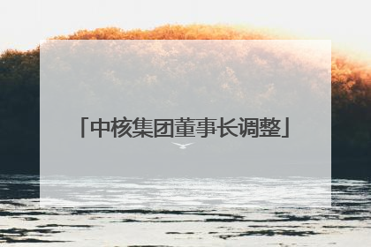 中核集团董事长调整