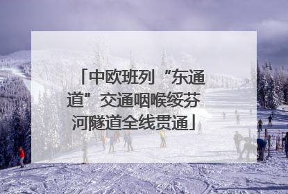 中欧班列“东通道”交通咽喉绥芬河隧道全线贯通