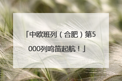 中欧班列（合肥）第5000列鸣笛起航！