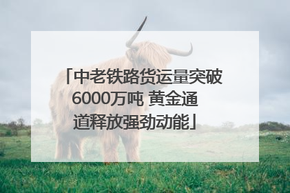 中老铁路货运量突破6000万吨 黄金通道释放强劲动能