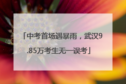 中考首场遇暴雨，武汉9.85万考生无一误考