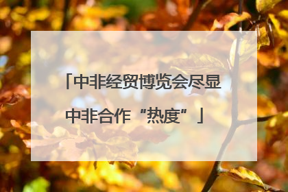 中非经贸博览会尽显中非合作“热度”