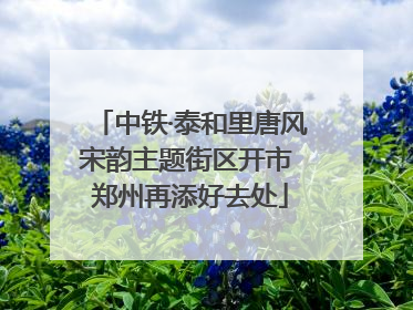 中铁·泰和里唐风宋韵主题街区开市 郑州再添好去处