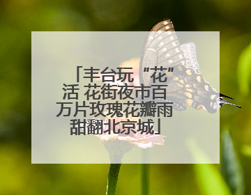 丰台玩“花”活 花街夜市百万片玫瑰花瓣雨甜翻北京城