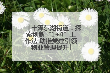 丰泽东湖街道：探索创新“1+4”工作法 助推党建引领物业管理提升