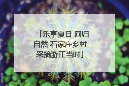 乐享夏日 回归自然 石家庄乡村采摘游正当时