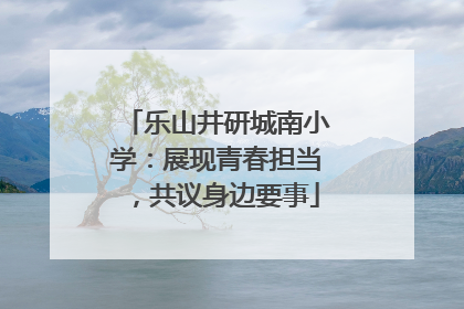 乐山井研城南小学：展现青春担当，共议身边要事