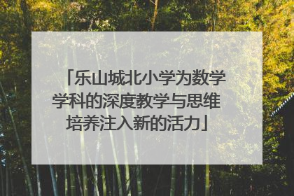 乐山城北小学为数学学科的深度教学与思维培养注入新的活力
