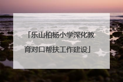 乐山柏杨小学深化教育对口帮扶工作建设