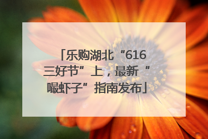 乐购湖北“616三好节”上，最新“嘬虾子”指南发布