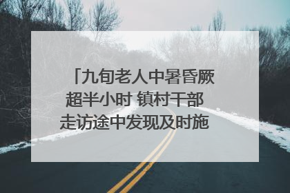 九旬老人中暑昏厥超半小时 镇村干部走访途中发现及时施救｜看见正能量