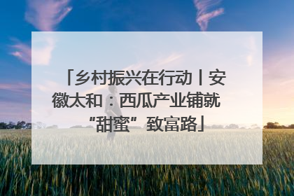 乡村振兴在行动丨安徽太和：西瓜产业铺就“甜蜜”致富路