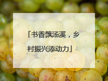 书香飘汤溪，乡村振兴添动力