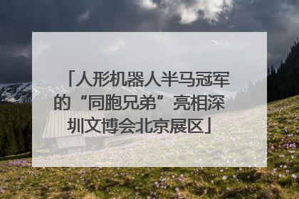 人形机器人半马冠军的“同胞兄弟”亮相深圳文博会北京展区