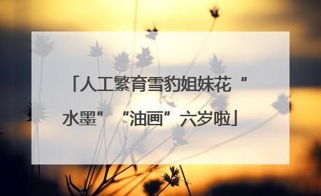 人工繁育雪豹姐妹花“水墨”“油画”六岁啦