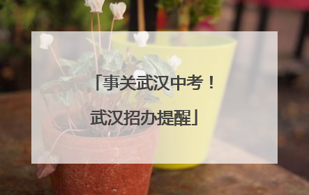 事关武汉中考！武汉招办提醒