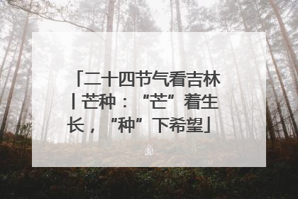 二十四节气看吉林丨芒种：“芒”着生长，“种”下希望
