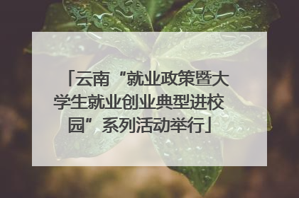 云南“就业政策暨大学生就业创业典型进校园”系列活动举行