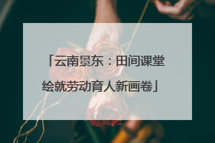云南景东：田间课堂绘就劳动育人新画卷