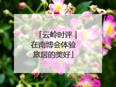 云岭时评｜在南博会体验旅居的美好