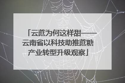云蔗为何这样甜——云南省以科技助推蔗糖产业转型升级观察