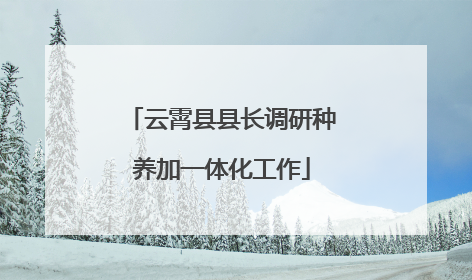 云霄县县长调研种养加一体化工作