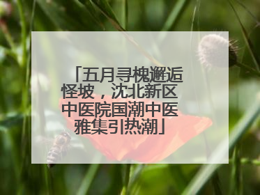 五月寻槐邂逅怪坡，沈北新区中医院国潮中医雅集引热潮