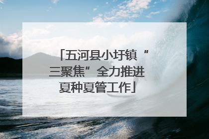 五河县小圩镇“三聚焦”全力推进夏种夏管工作