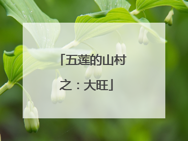 五莲的山村之：大旺