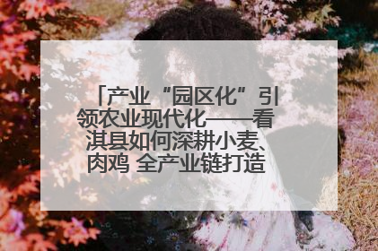 产业“园区化”引领农业现代化——看淇县如何深耕小麦、肉鸡 全产业链打造现代农业产业园