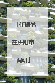 任振鹤在庆阳市调研