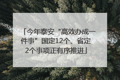 今年泰安“高效办成一件事”国定12个、省定2个事项正有序推进