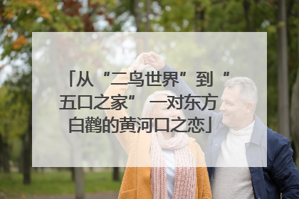 从“二鸟世界”到“五口之家” 一对东方白鹳的黄河口之恋