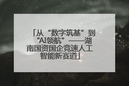 从“数字筑基”到“AI领航”——湖南国资国企竞速人工智能新赛道
