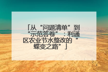 从“问题清单”到“示范答卷”：利通区农业节水整改的“蝶变之路”