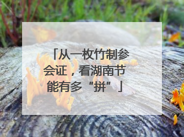 从一枚竹制参会证，看湖南节能有多“拼”