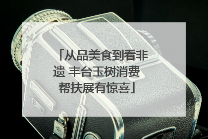 从品美食到看非遗 丰台玉树消费帮扶展有惊喜
