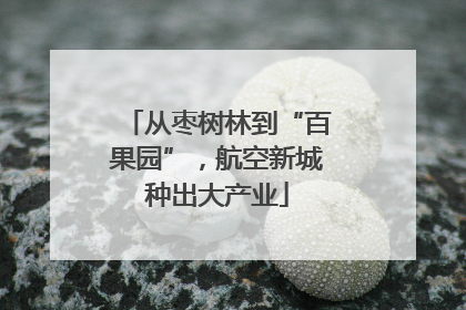 从枣树林到“百果园”，航空新城种出大产业