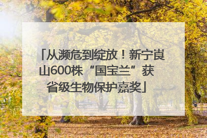 从濒危到绽放！新宁崀山600株“国宝兰”获省级生物保护嘉奖