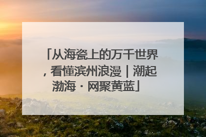从海瓷上的万千世界，看懂滨州浪漫｜潮起渤海・网聚黄蓝