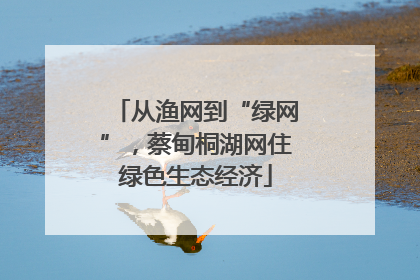 从渔网到“绿网”，蔡甸桐湖网住绿色生态经济